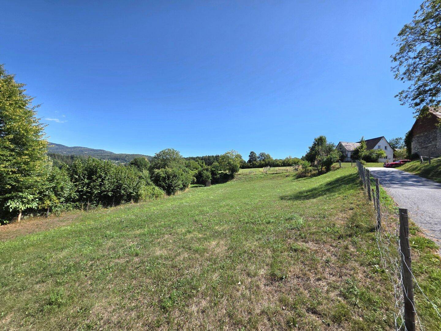 Weitläufige grüne Wiese mit Bäumen und einem Haus im Hintergrund unter blauem Himmel.