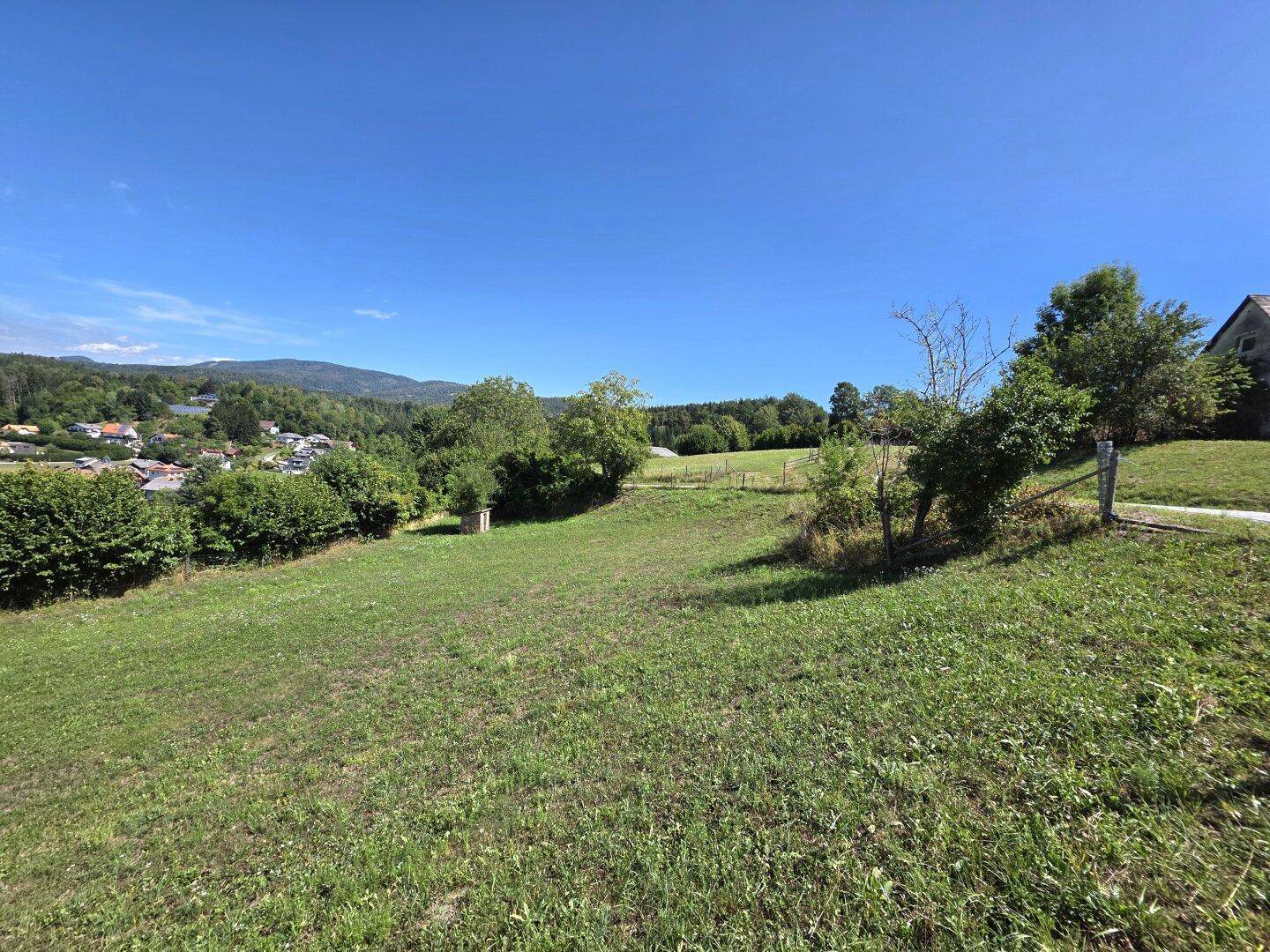 Sonnige Wiese mit üppigem Grün und Blick auf eine kleine Siedlung in der Ferne.