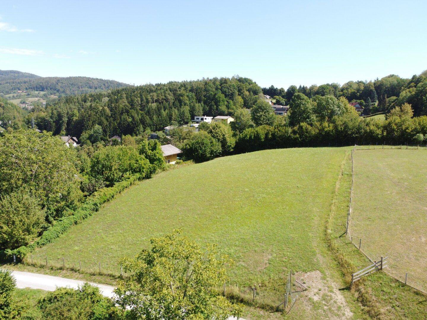 Panoramablick auf eine grüne Wiese, umgeben von Bäumen und einer ländlichen Siedlung im Hintergrund.