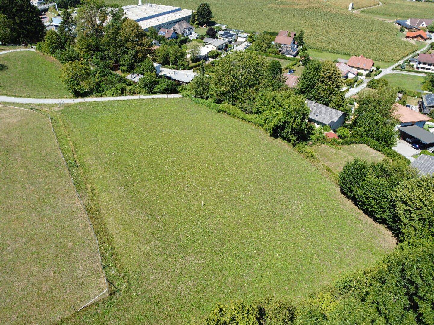 Weitläufiges grünes Feld aus der Vogelperspektive, mit vereinzelten Gebäuden und Wald am Horizont.