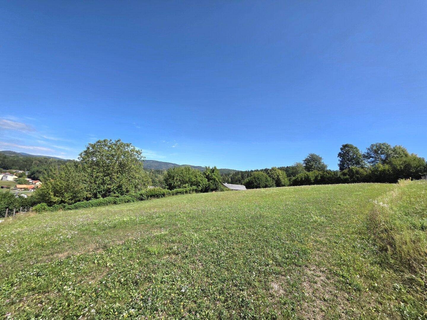 Sonnige grüne Wiese mit Bäumen und bewaldeten Hügeln unter einem klaren blauen Himmel.