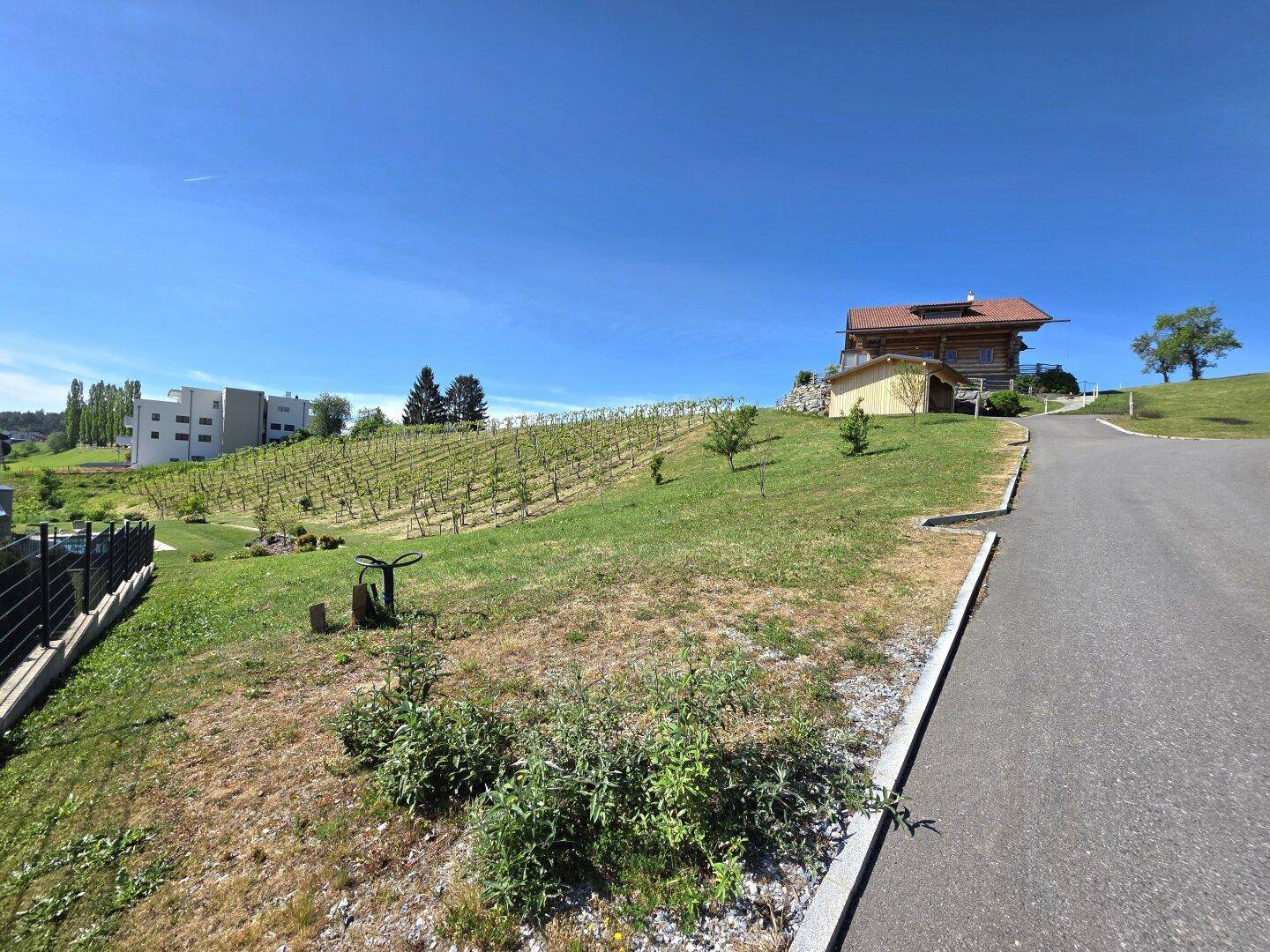 Grüne Hügellandschaft mit Weinberg, Zufahrtsstraße und einem Holzhaus unter strahlend blauem Himmel.