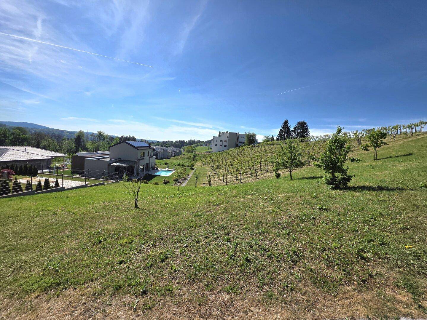 Panoramablick über eine grüne Hügellandschaft mit Weinberg, modernen Häusern und einem Pool.