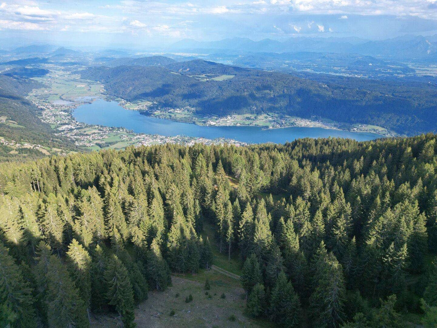 Weitläufige Luftaufnahme eines dichten Waldes auf einem Berg mit einem See und einer Bergkette im Hintergrund.