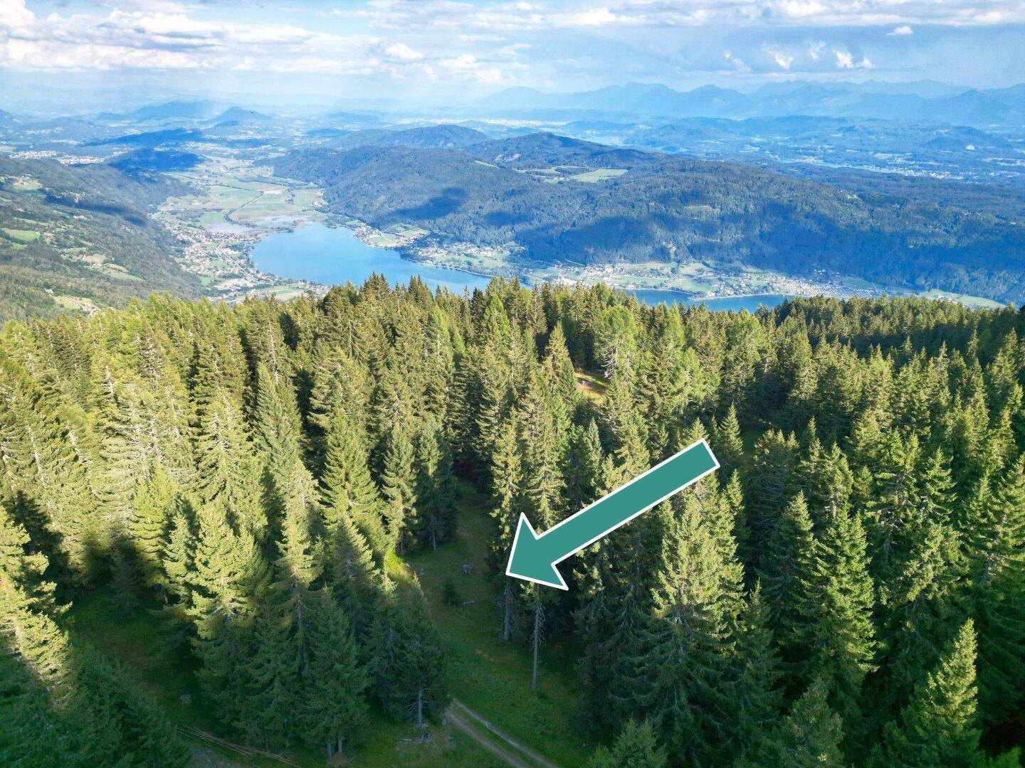 Luftaufnahme eines bewaldeten Berghangs mit einem See und Bergen im Hintergrund, ein Pfeil markiert eine Stelle.