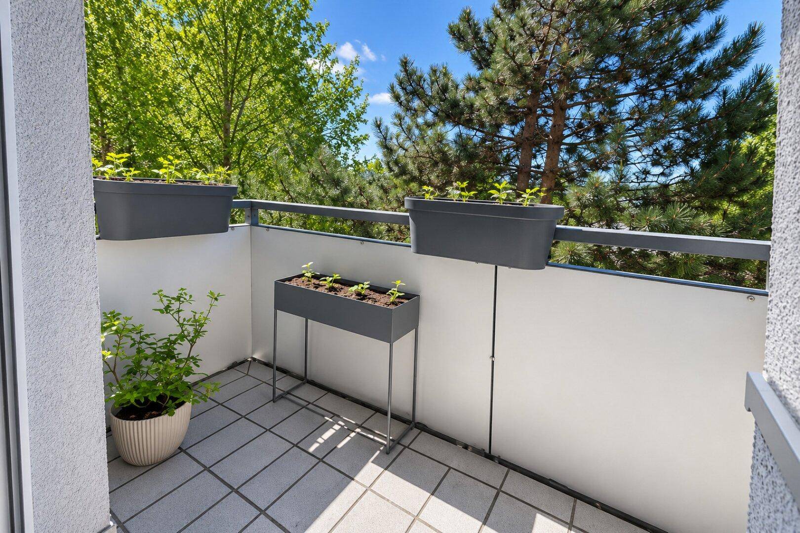 Sonniger Balkon mit Pflanzen und Blick ins Grüne, ideal zum Entspannen.