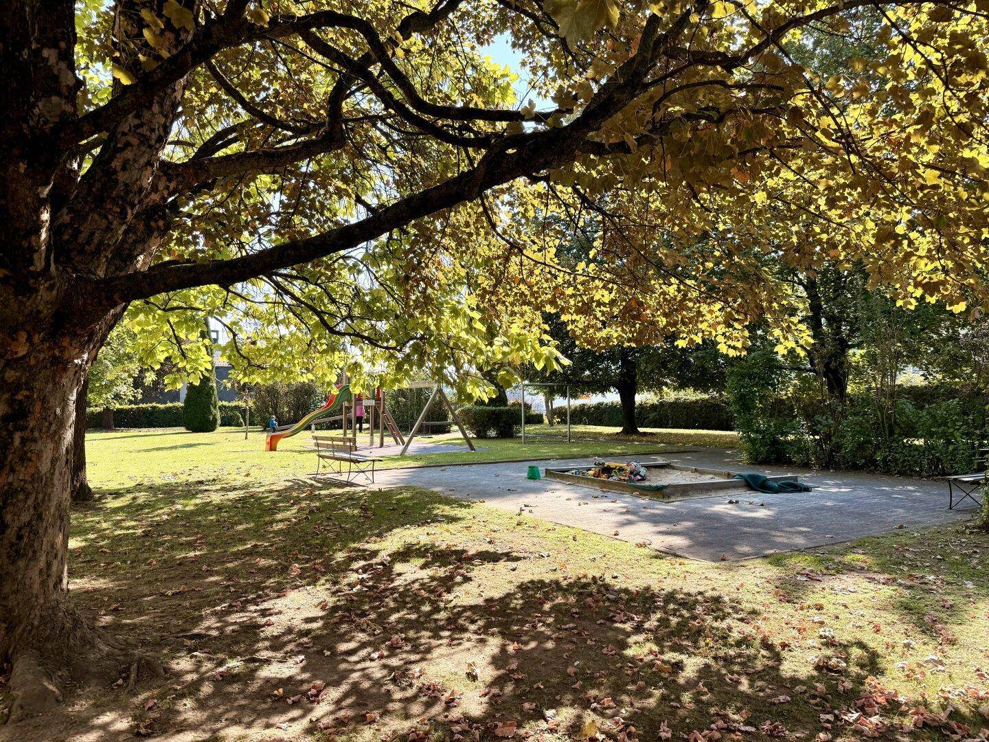 Gemeinschaftlicher Gartenbereich mit Spielplatz, Schaukeln und Sandkasten unter Bäumen.