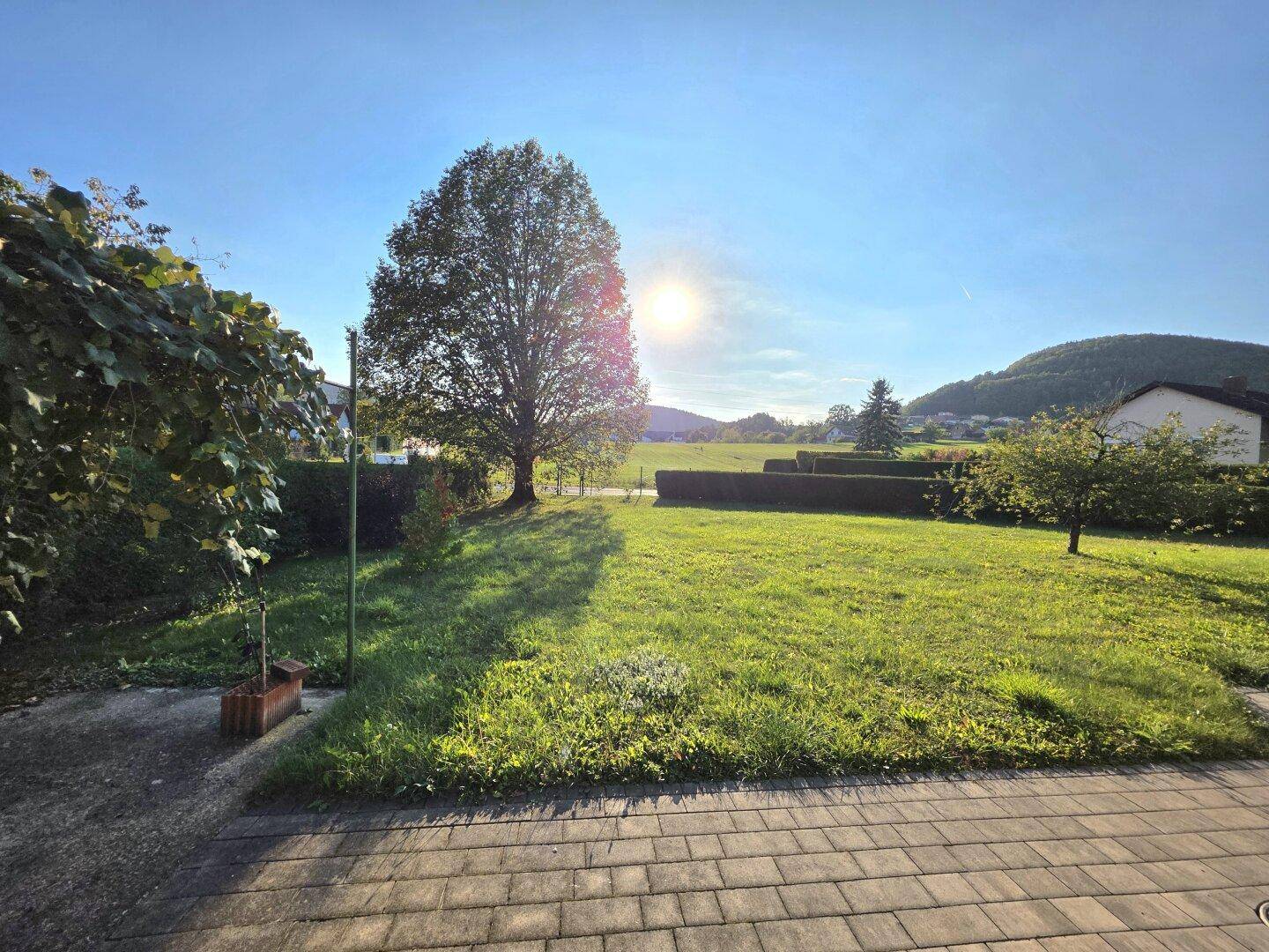 Sonniger Gartenbereich mit altem Baum und weitem Blick über die grüne Landschaft.