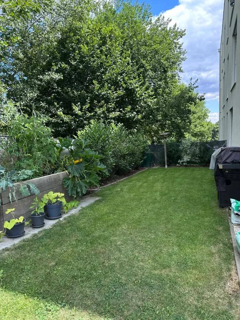 Gepflegter Gartenbereich mit Rasenfläche und Hochbeeten für den Anbau von Gemüse.