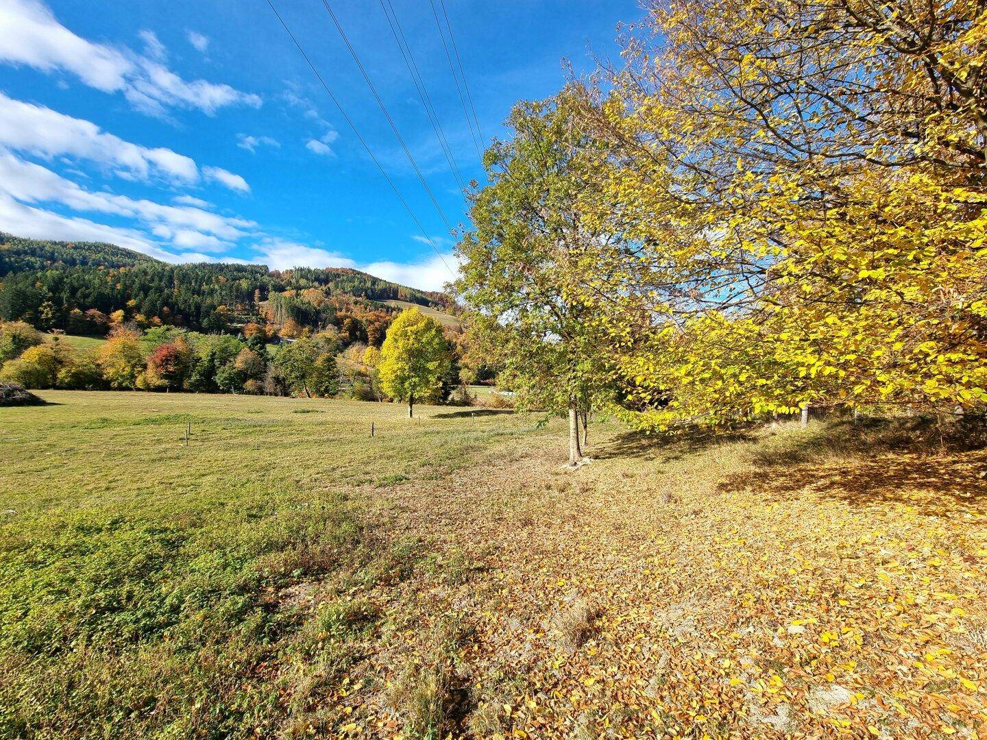 Kompagnon Immobilien - Grundstück