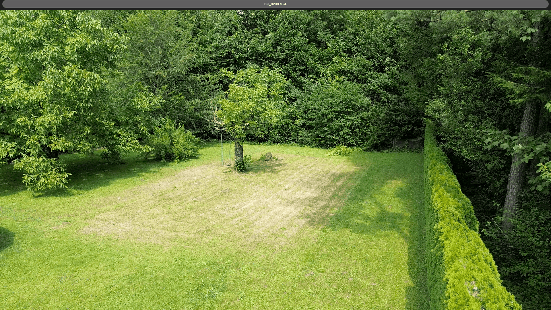 Gepflegte Rasenfläche eines Gartens, umgeben von dichtem Baumbestand und einer hohen Hecke.