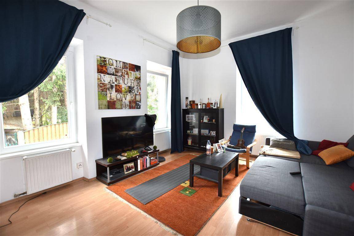 Gemütliches Wohnzimmer mit Sofa, Fernseher und Teppich auf Holzboden.