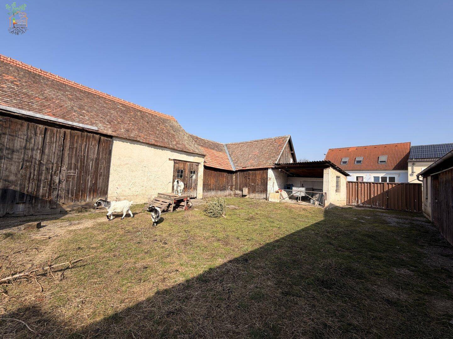 Großer Gartenbereich mit Grasfläche, Ziegen und mehreren landwirtschaftlichen Gebäuden im Hintergrund.