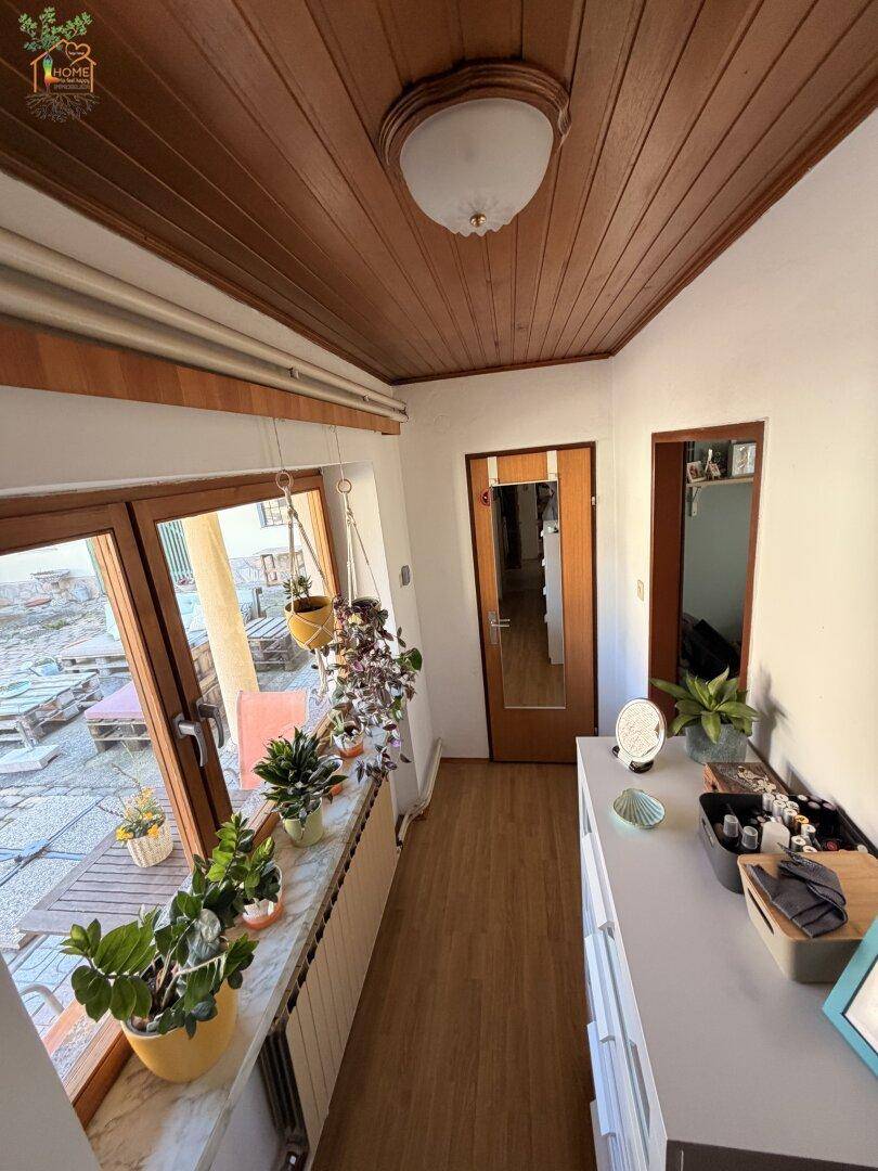 Heller Wintergarten mit vielen Pflanzen, Holzdecke und Blick nach draußen.