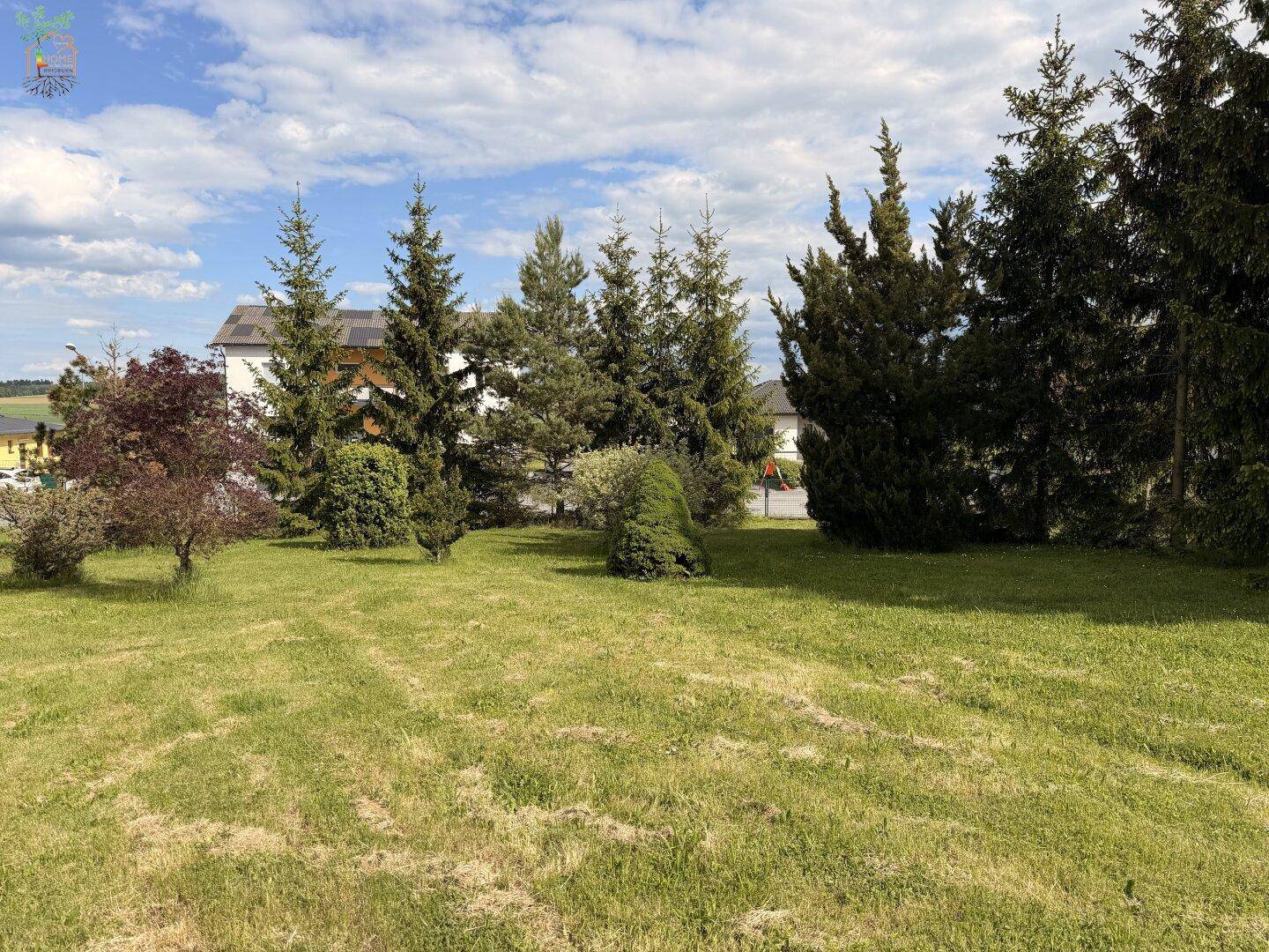 Großer, gepflegter Garten mit Rasenflächen und hohen Nadelbäumen, ideal zum Entspannen.