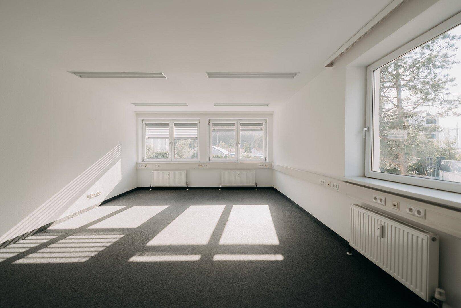 Helles, leeres Büro mit Teppichboden und Sonnenlicht, das durch die Fenster auf den Boden fällt.