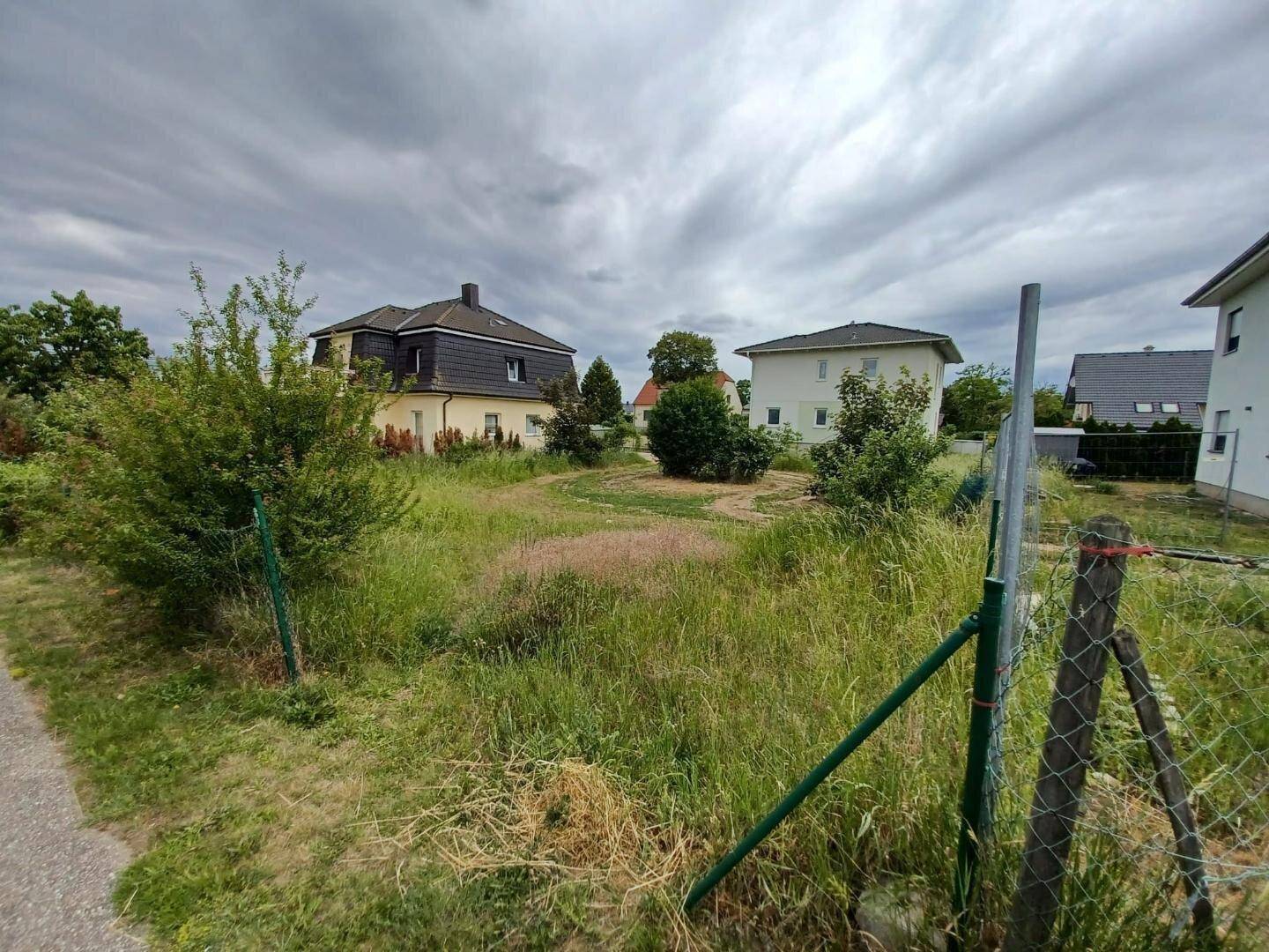 Grünes unbebautes Grundstück mit hohem Gras und Blick auf die Nachbarschaft unter bewölktem Himmel.