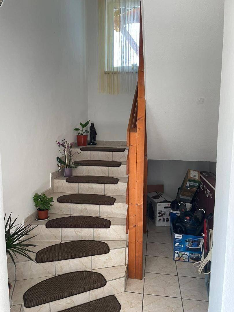 Treppenhaus mit Holzgeländer und gefliesten Stufen, dekoriert mit Pflanzen.