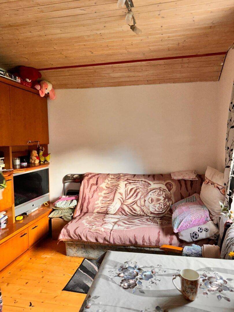 Gemütlicher Wohnbereich mit Schlafsofa, TV und Holzpaneeldecke.
