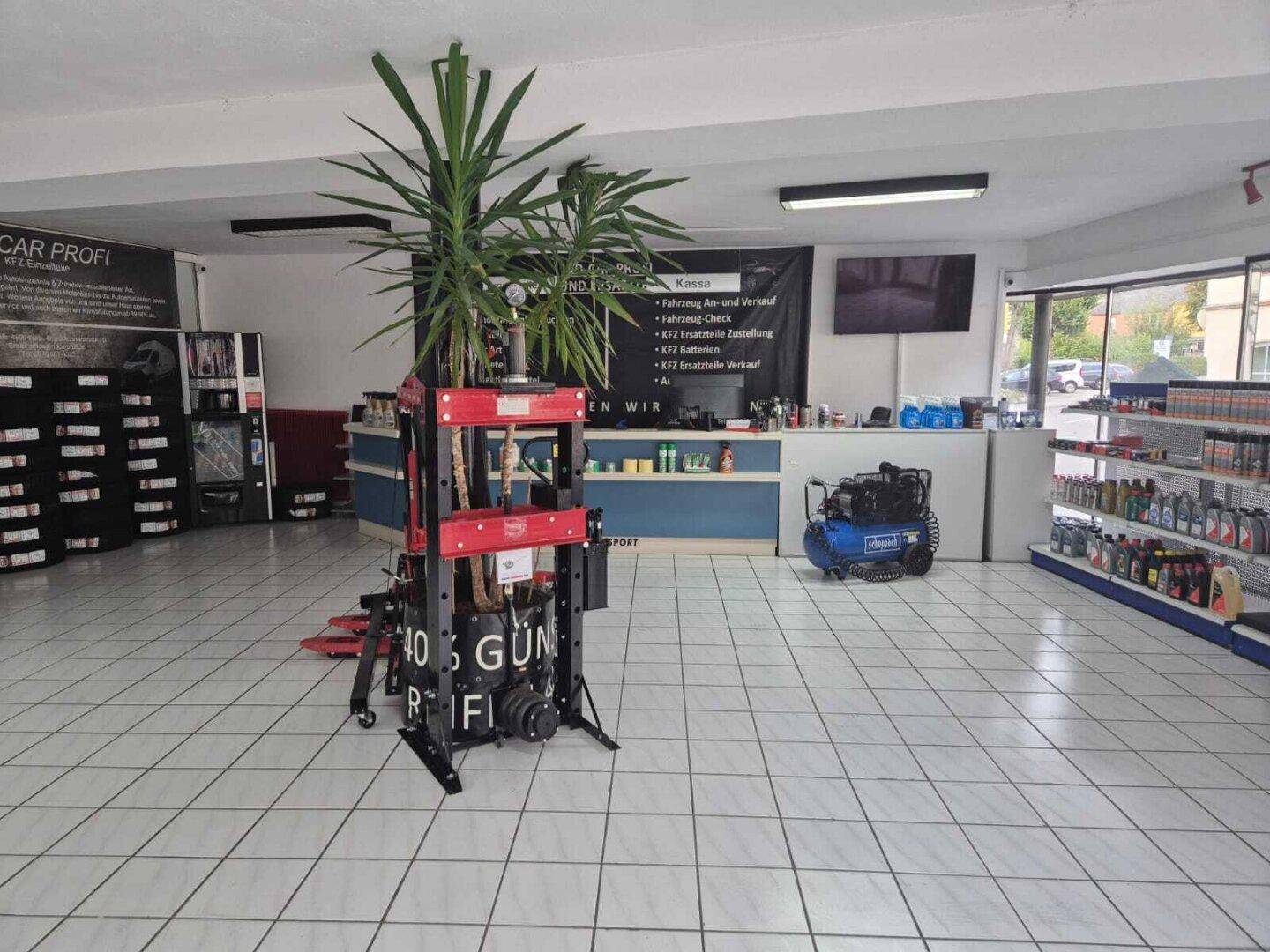 Bereich der Werkstatt mit einer Pflanze, einer hydraulischen Presse, einem Kompressor und Regalen.