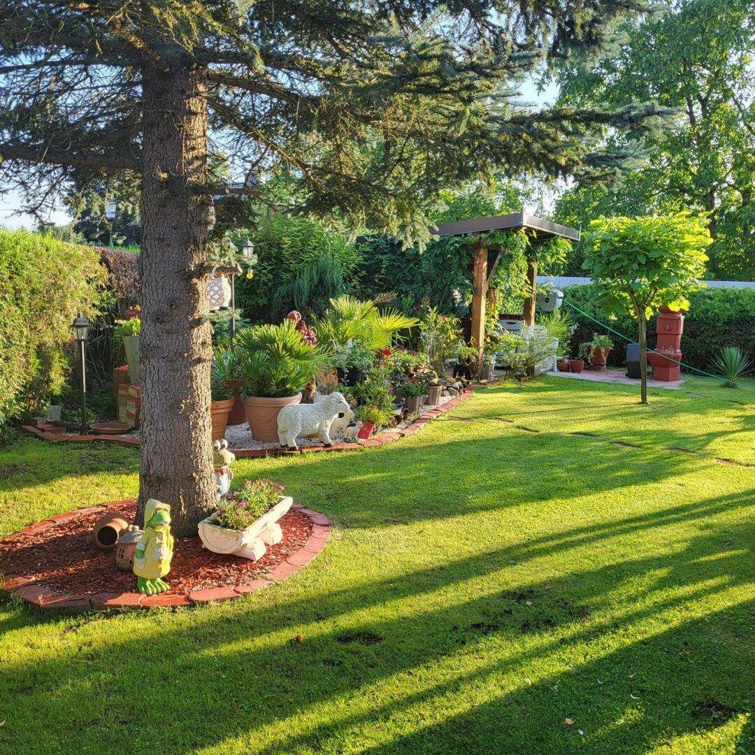 Großer, sonniger Garten mit altem Baum, gepflegtem Rasen und vielfältiger Bepflanzung.