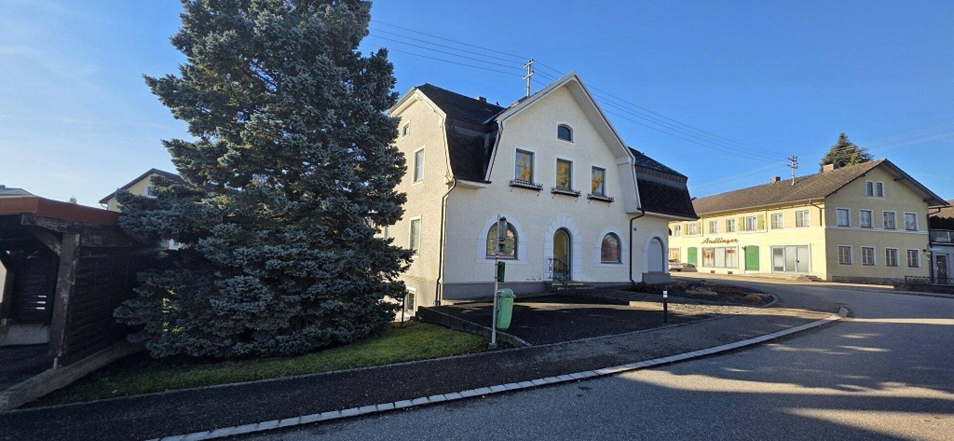 Ansicht des Gebäudes von der Straße mit großem Nadelbaum und weiteren Häusern im Hintergrund.