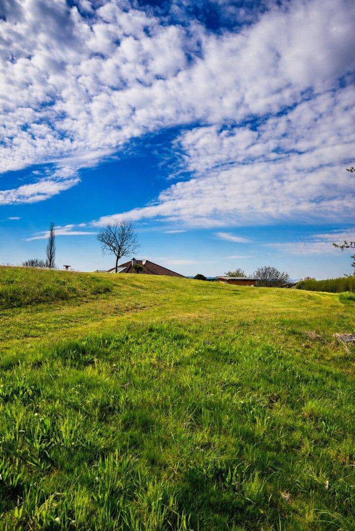 Grüner Hügel mit Bäumen und einem Haus in der Ferne unter einem weiten Himmel.