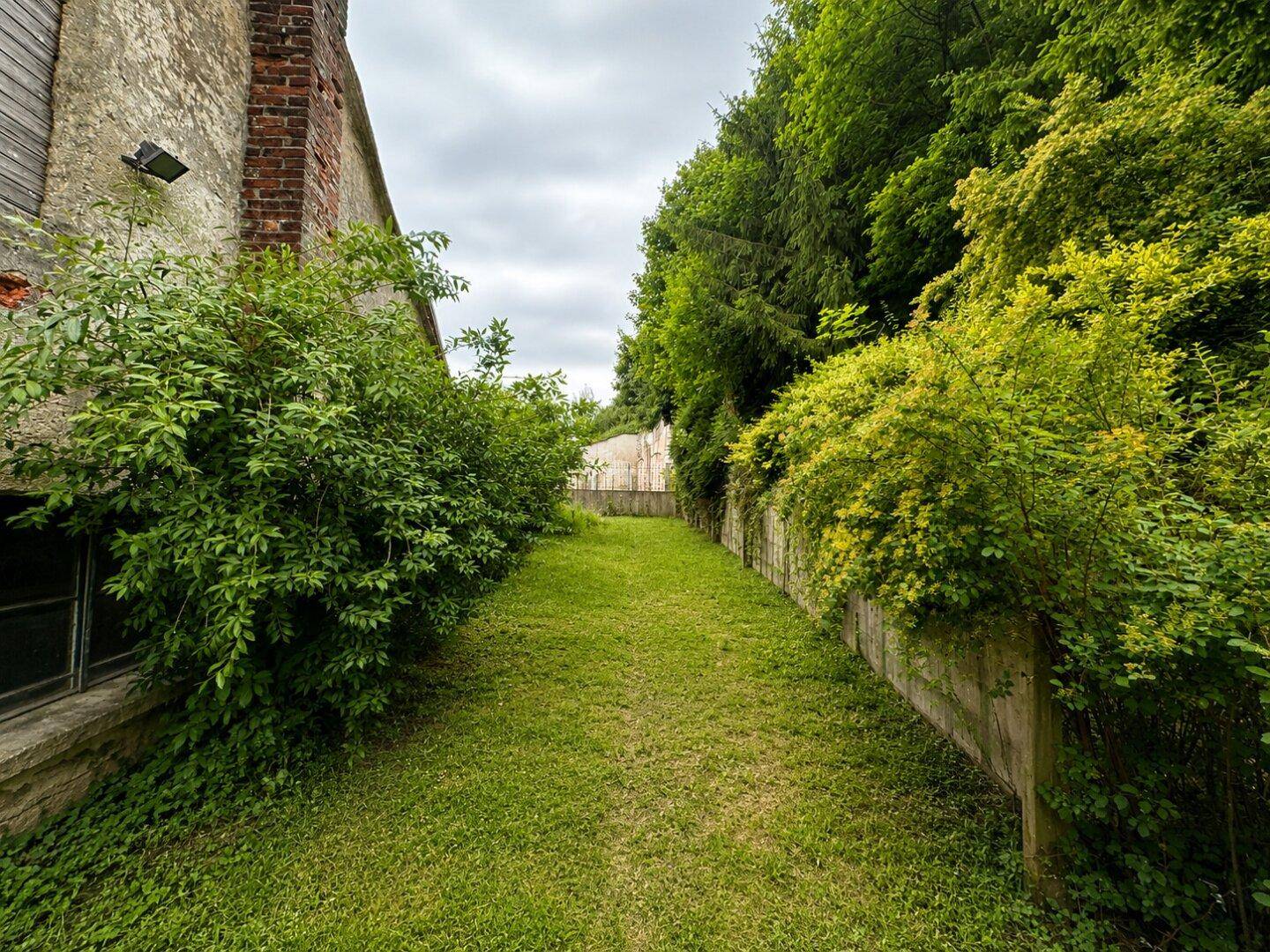 Langer, schmaler Gartenbereich mit Rasen und üppiger Vegetation.