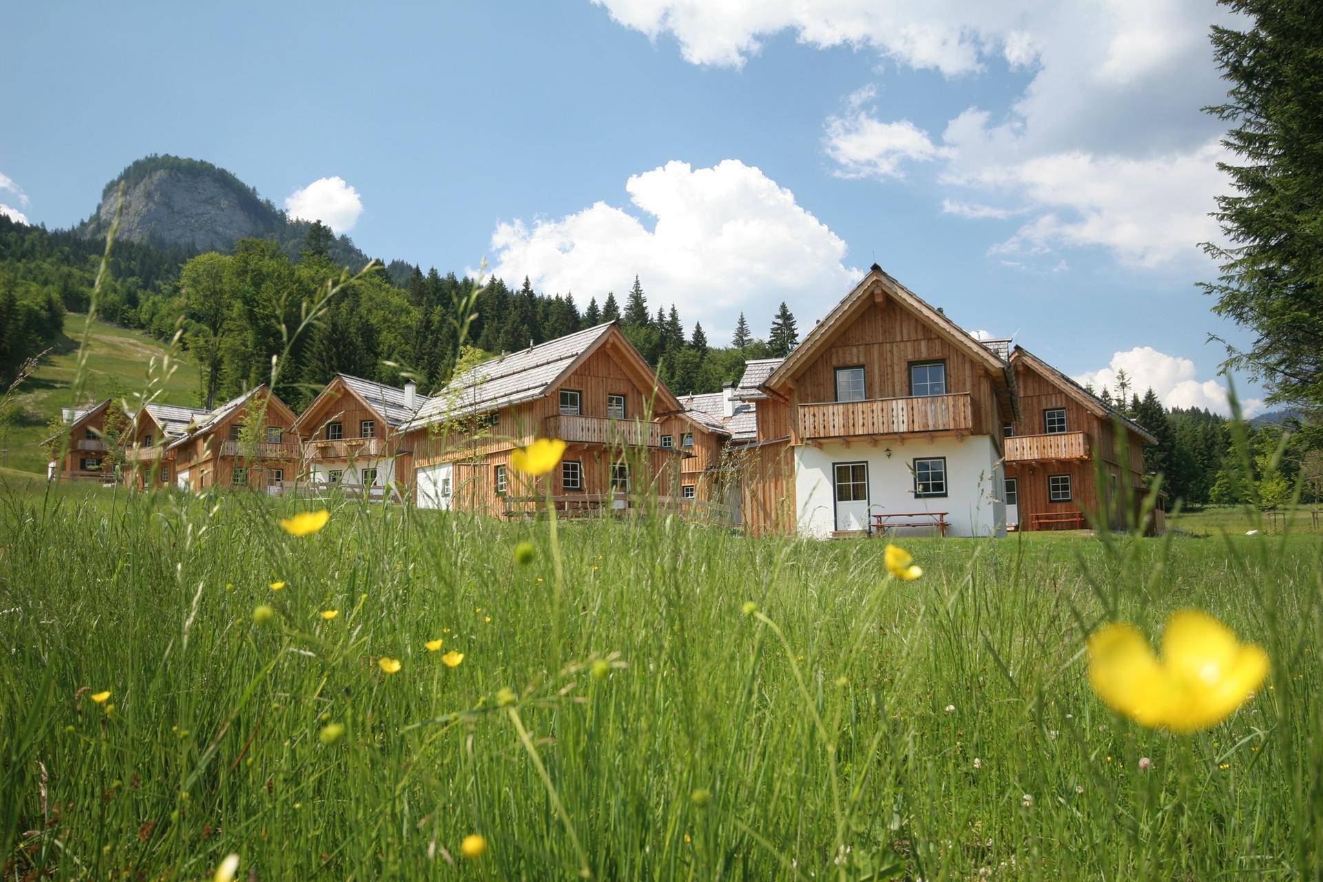 Reihe von Holzhäusern im alpinen Stil, umgeben von grünen Wiesen und Bergen.