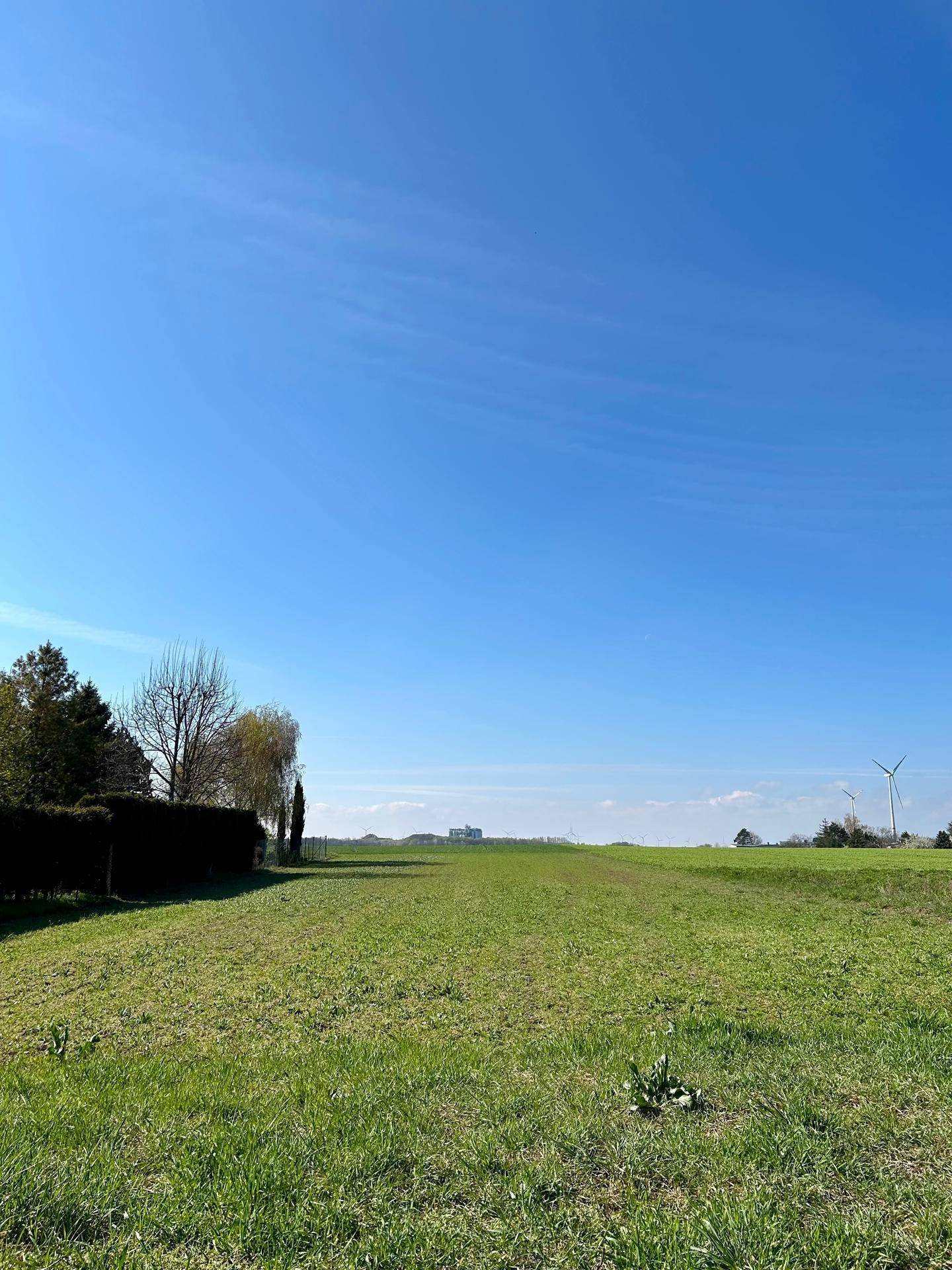 Großes Baugrundstück mit Fernblick - 1.500 m² Bauland in Ruhelage, provisionsfrei - Ansicht 2