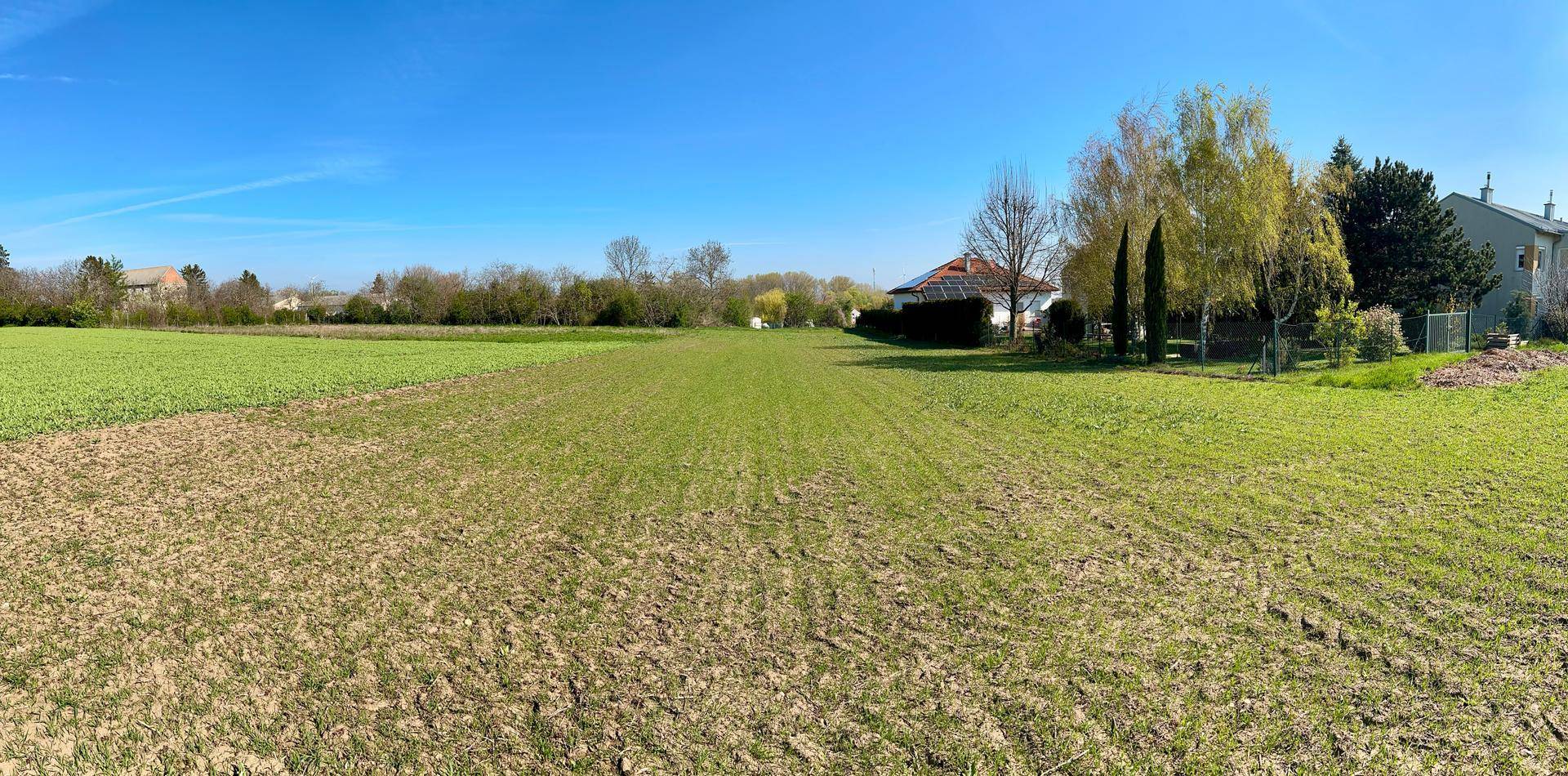 Großes Baugrundstück mit Fernblick - 1.500 m² Bauland in Ruhelage, provisionsfrei - Ansicht 3