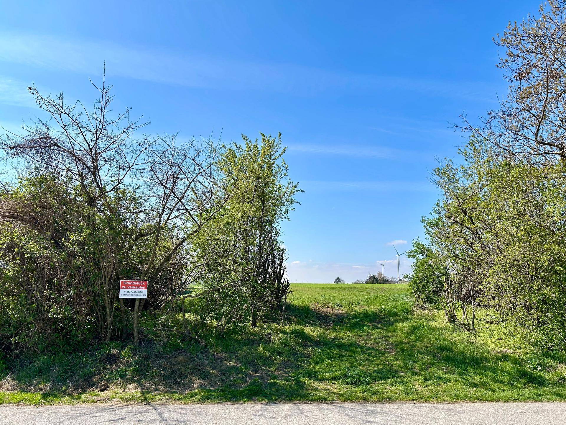 Großes Baugrundstück mit Fernblick - 1.500 m² Bauland in Ruhelage, provisionsfrei - Ansicht 4