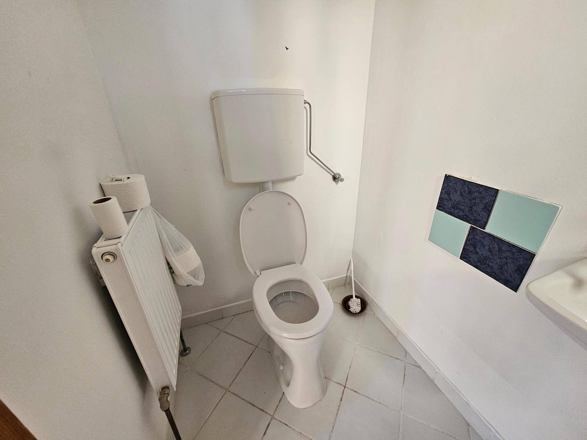 Kleines WC mit Toilette, Heizkörper und einem kleinen Waschbecken, funktional und sauber.