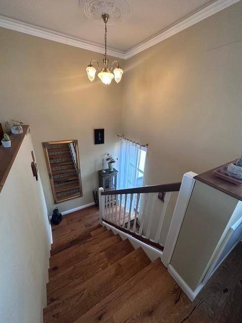 Holztreppe mit weißem Geländer und dekorativer Deckenrosette.