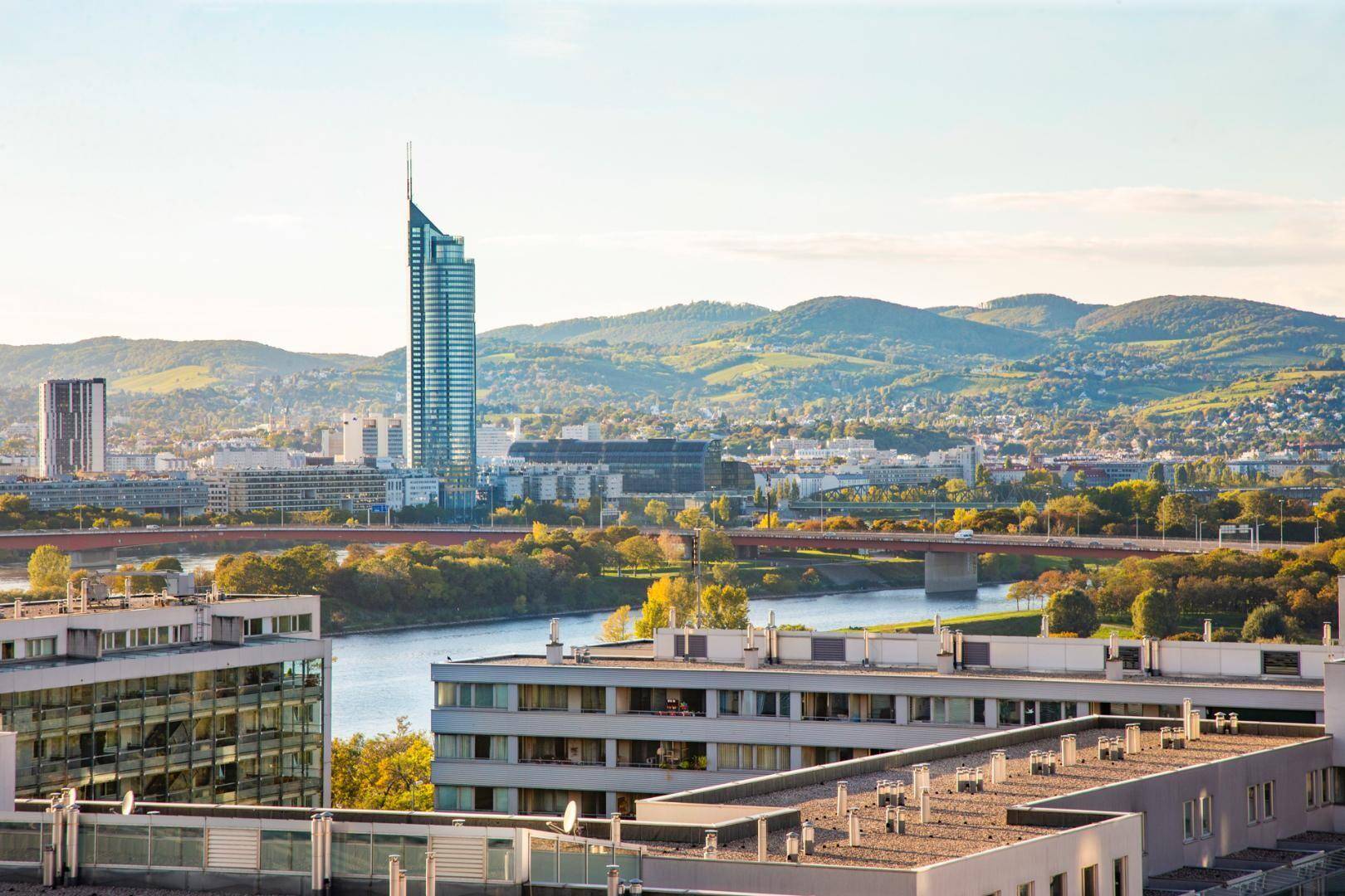 Weitläufiger Blick auf die Stadt mit Donau, Wolkenkratzer und grünen Hügeln im Hintergrund.