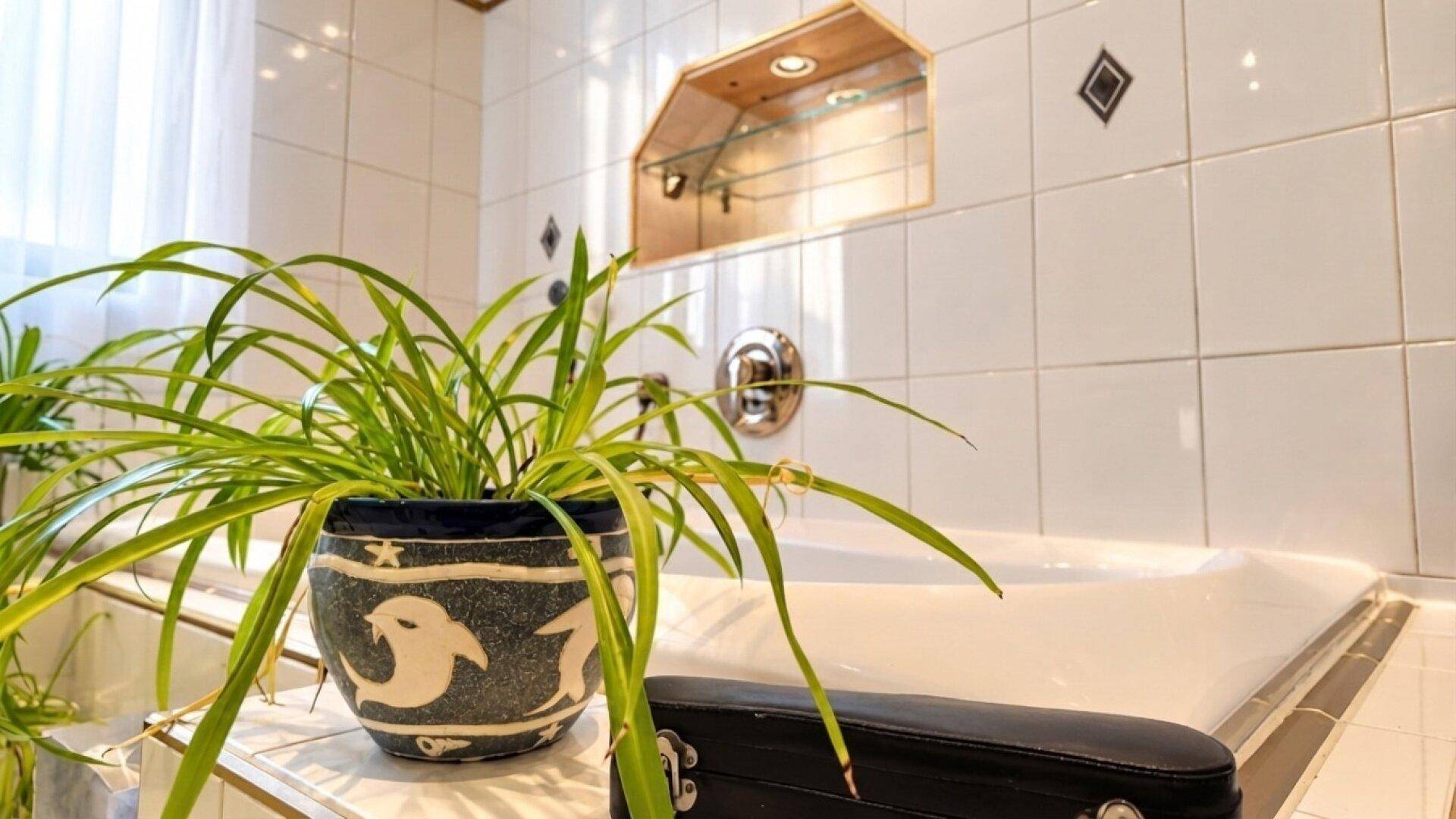 Eingebaute Badewanne mit weißen Fliesen und einer grünen Zimmerpflanze im traditionellen Badezimmer.