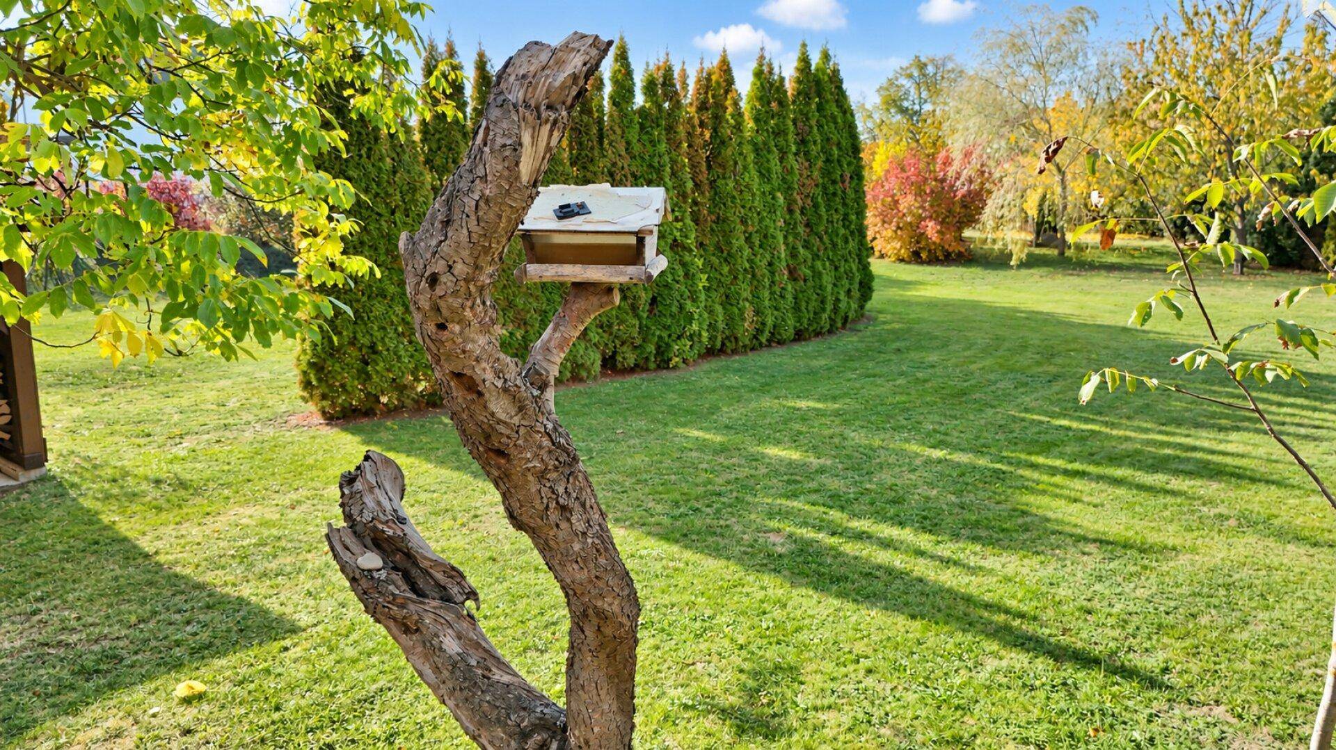 Idyllischer Gartenbereich mit Vogelhäuschen auf einem Baumstamm und einer dichten Hecke im Hintergrund.