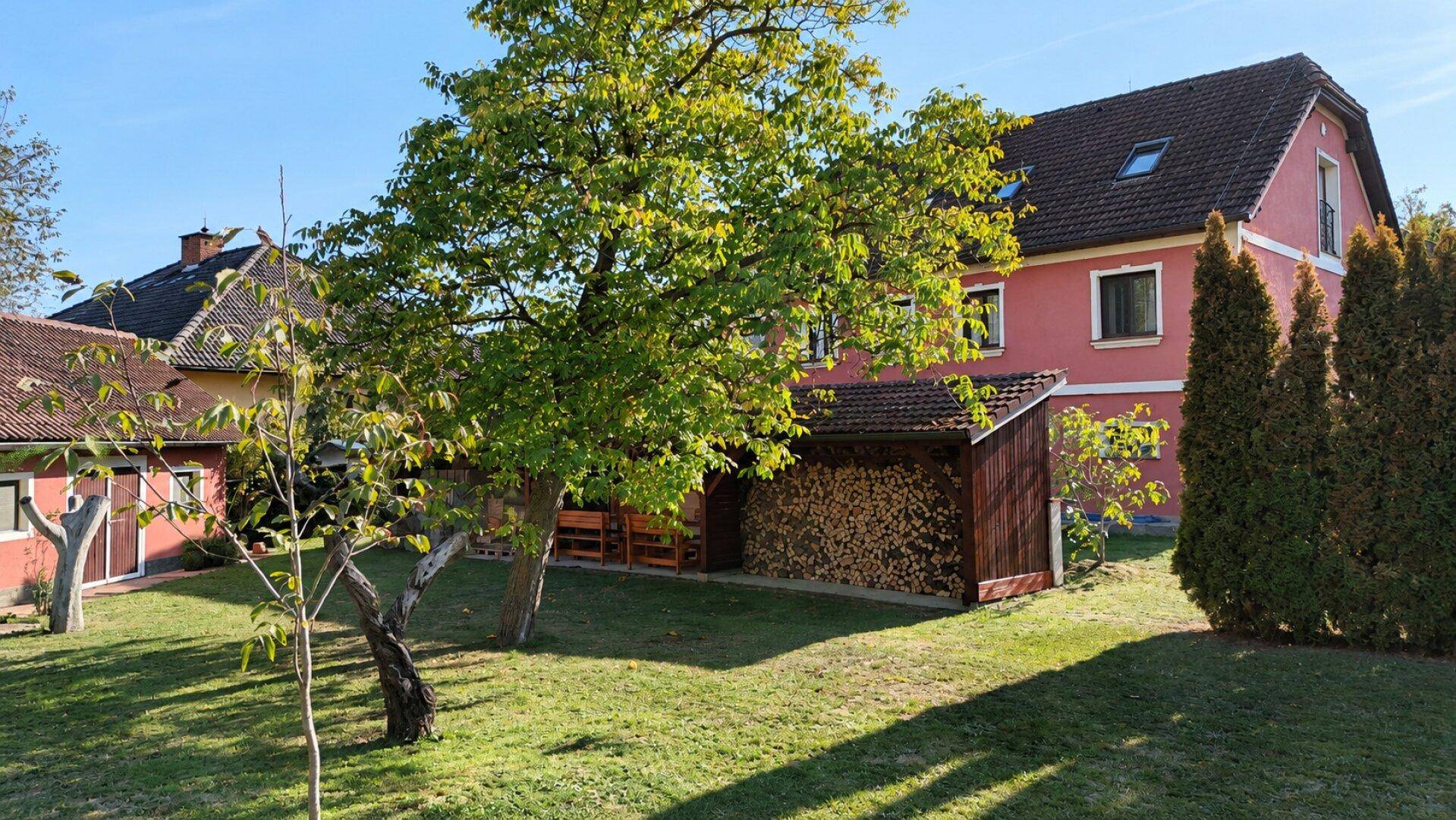 Hinterhof mit Holzstapel unter einem Unterstand und altem Baumbestand im sonnigen Gartenbereich.