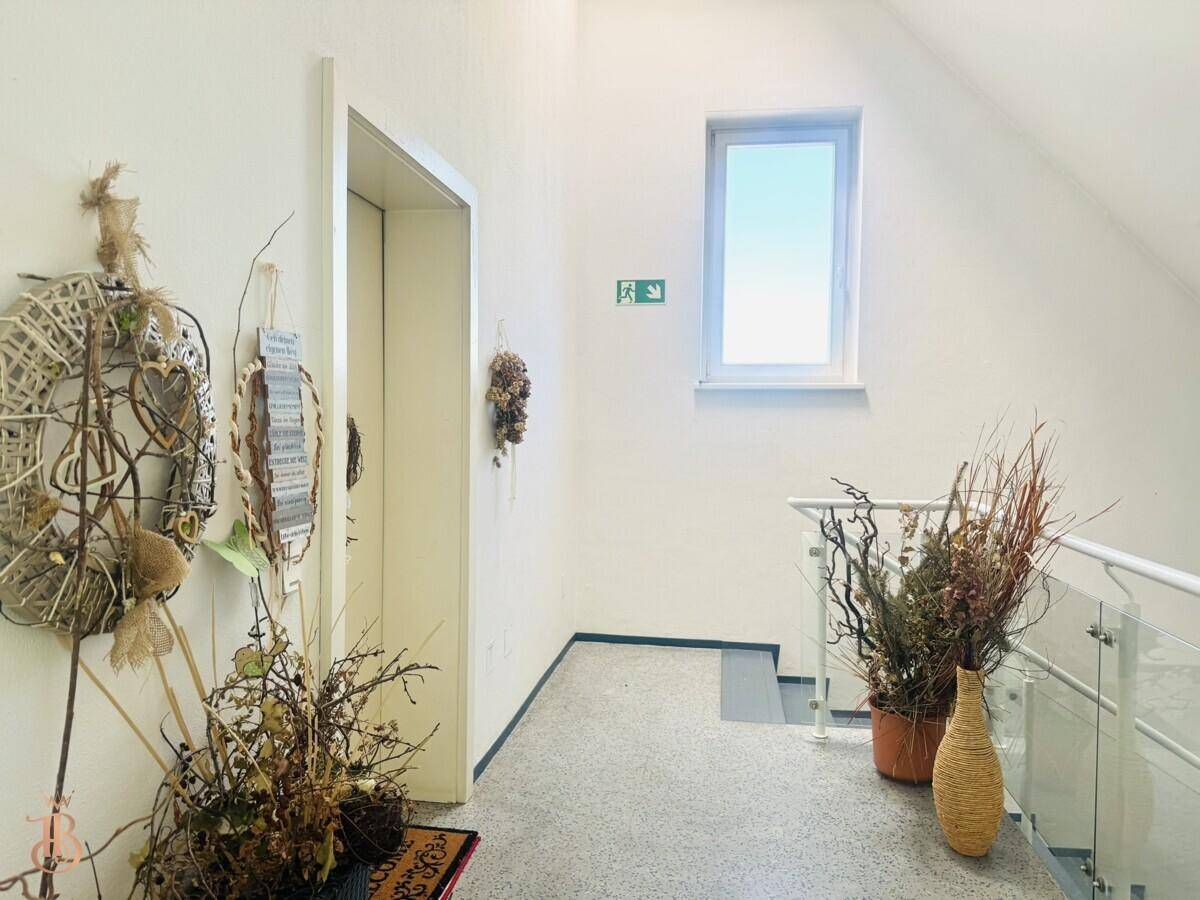 Heller Flur mit Aufzug, Treppe mit Glasgeländer und dekorativen Elementen.