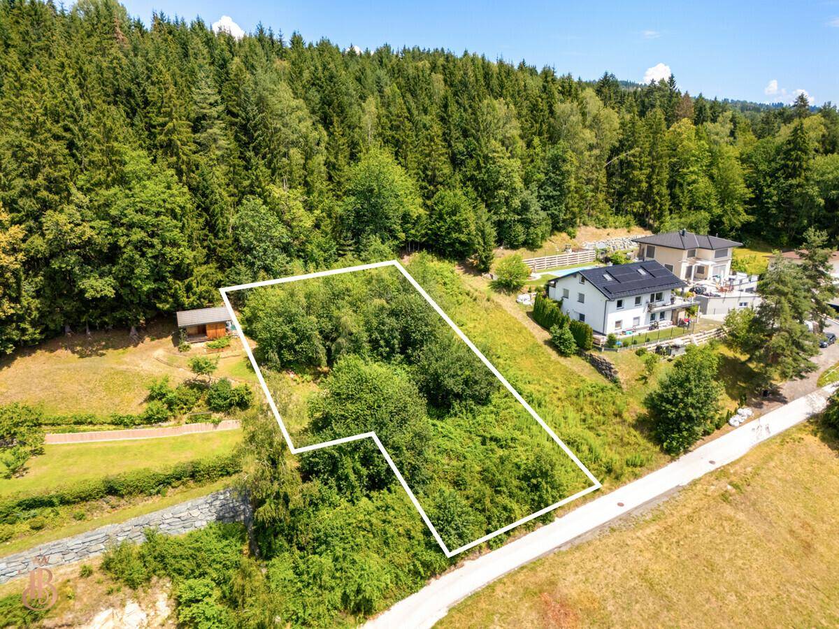 Weitläufiges Grundstück umgeben von Wald und Wohnhäusern, mit klarer Grundstücksgrenze.