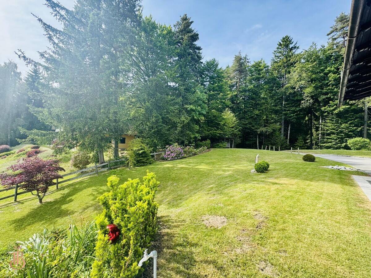 Gepflegter Gartenbereich mit Rasenfläche, Bäumen und Sträuchern, umgeben von Wald.