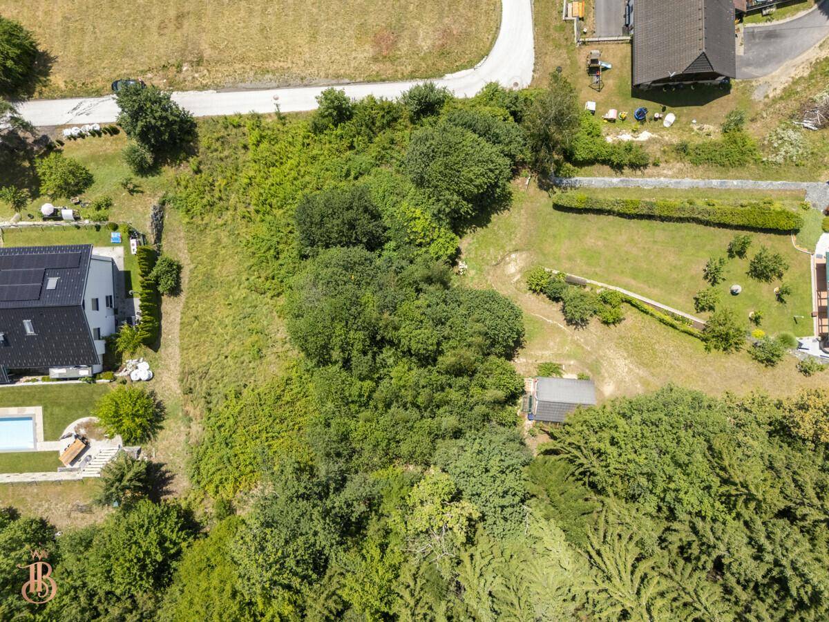Vogelperspektive des Grundstücks mit angrenzendem Haus und einem Swimmingpool im Gartenbereich.