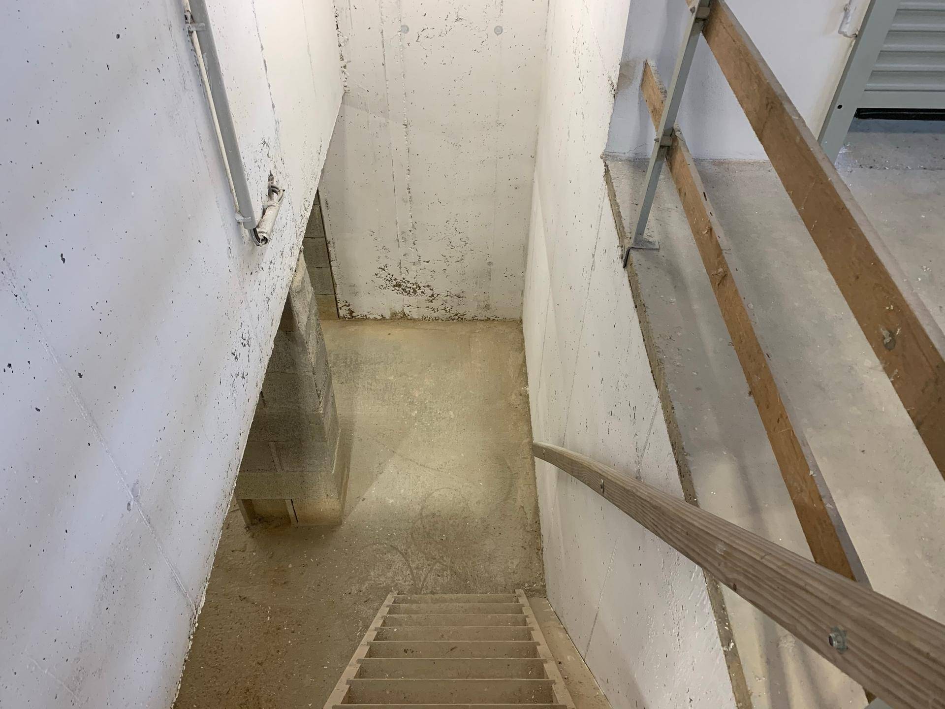 Treppenabgang in einen Kellerraum mit rohen Betonwänden und provisorischem Holzgeländer.