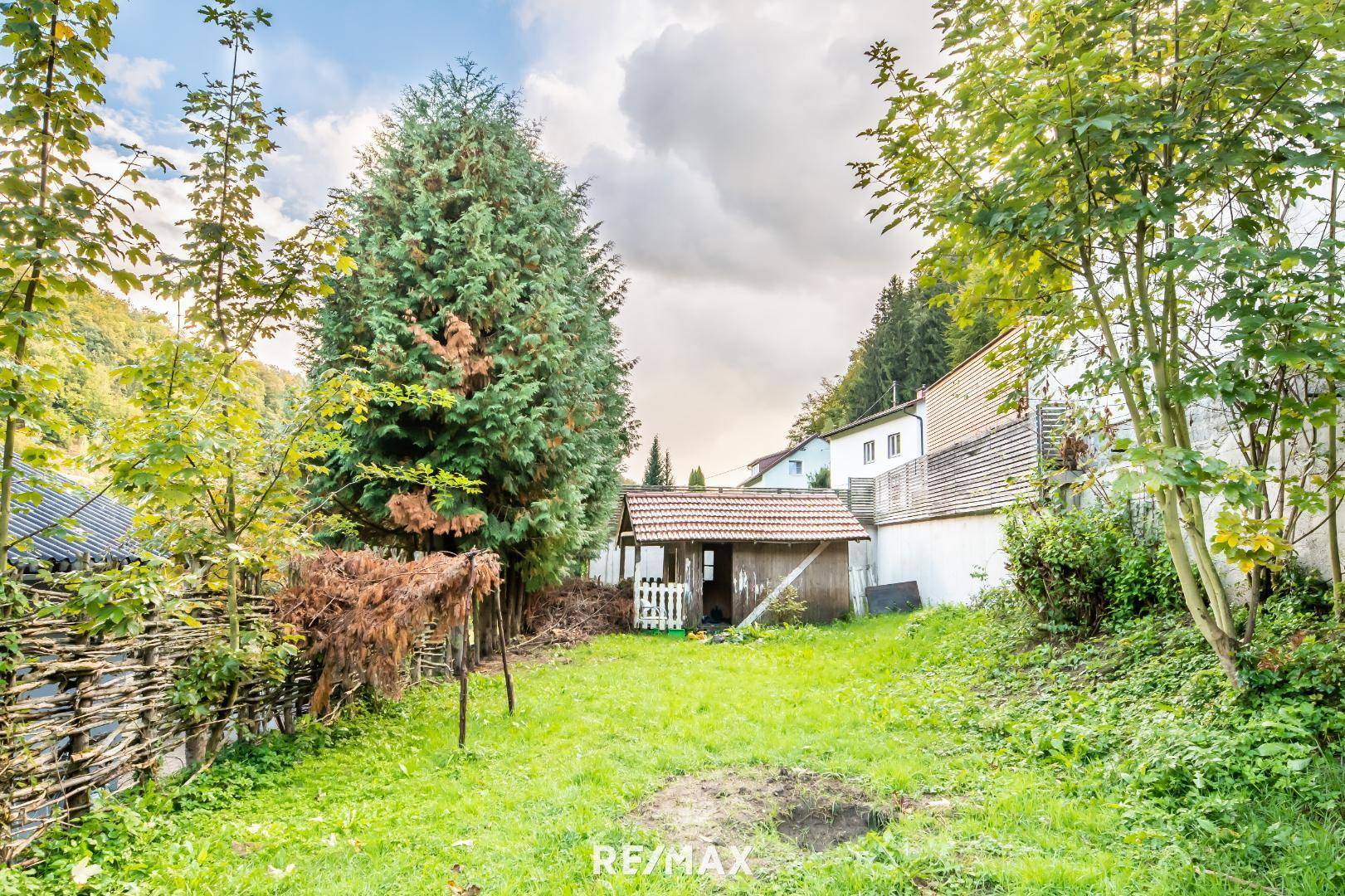 Garten im Sommer