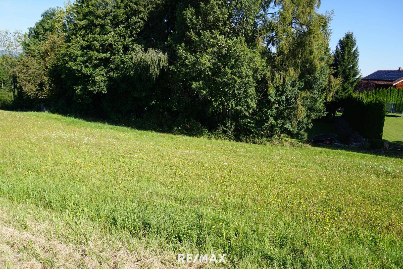 DSC00013