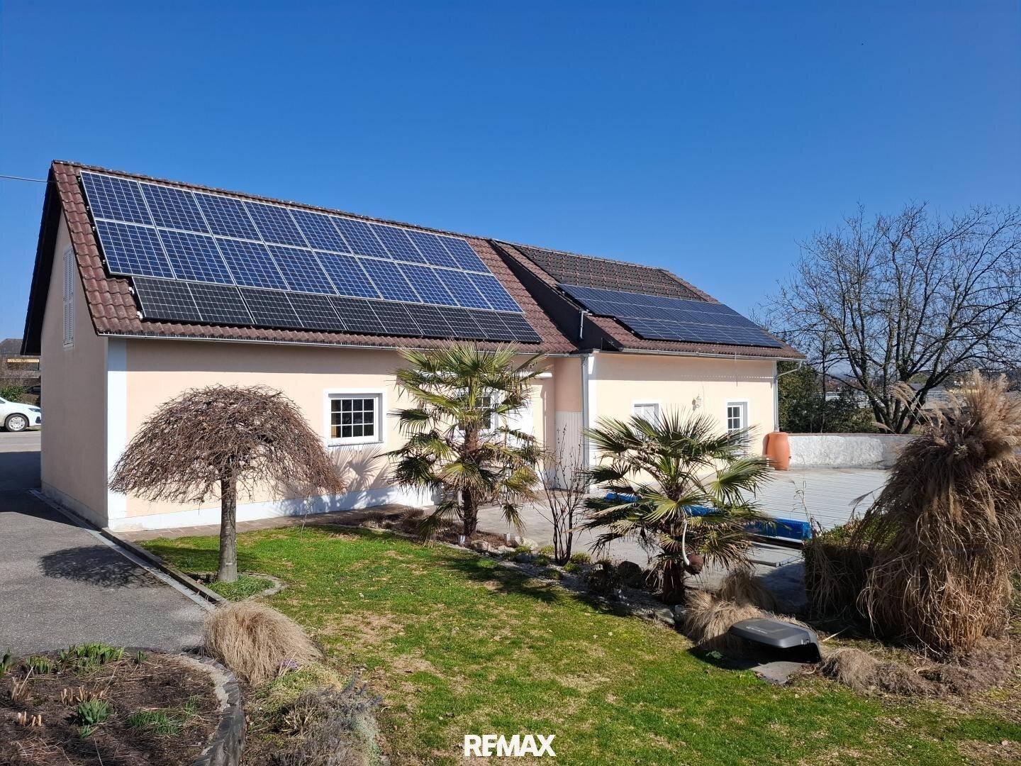 Seitlicher Gartenbereich mit Photovoltaikanlage auf dem Dach und mediterranen Palmen.