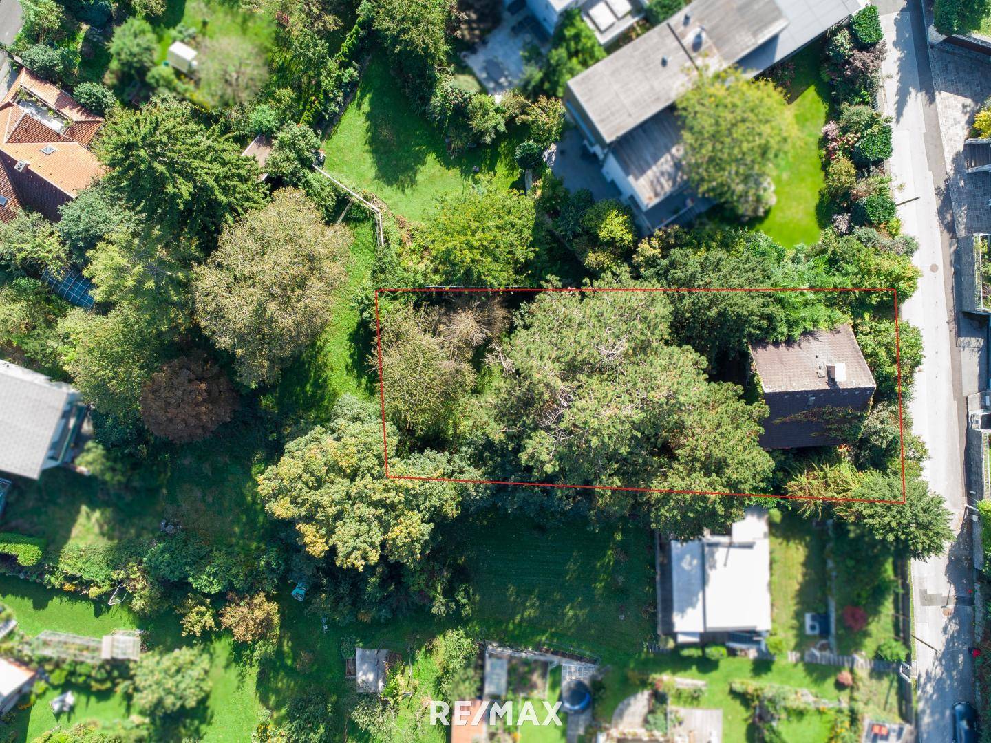 Luftaufnahme des Grundstücks mit umrandeter Fläche und umliegender Vegetation.