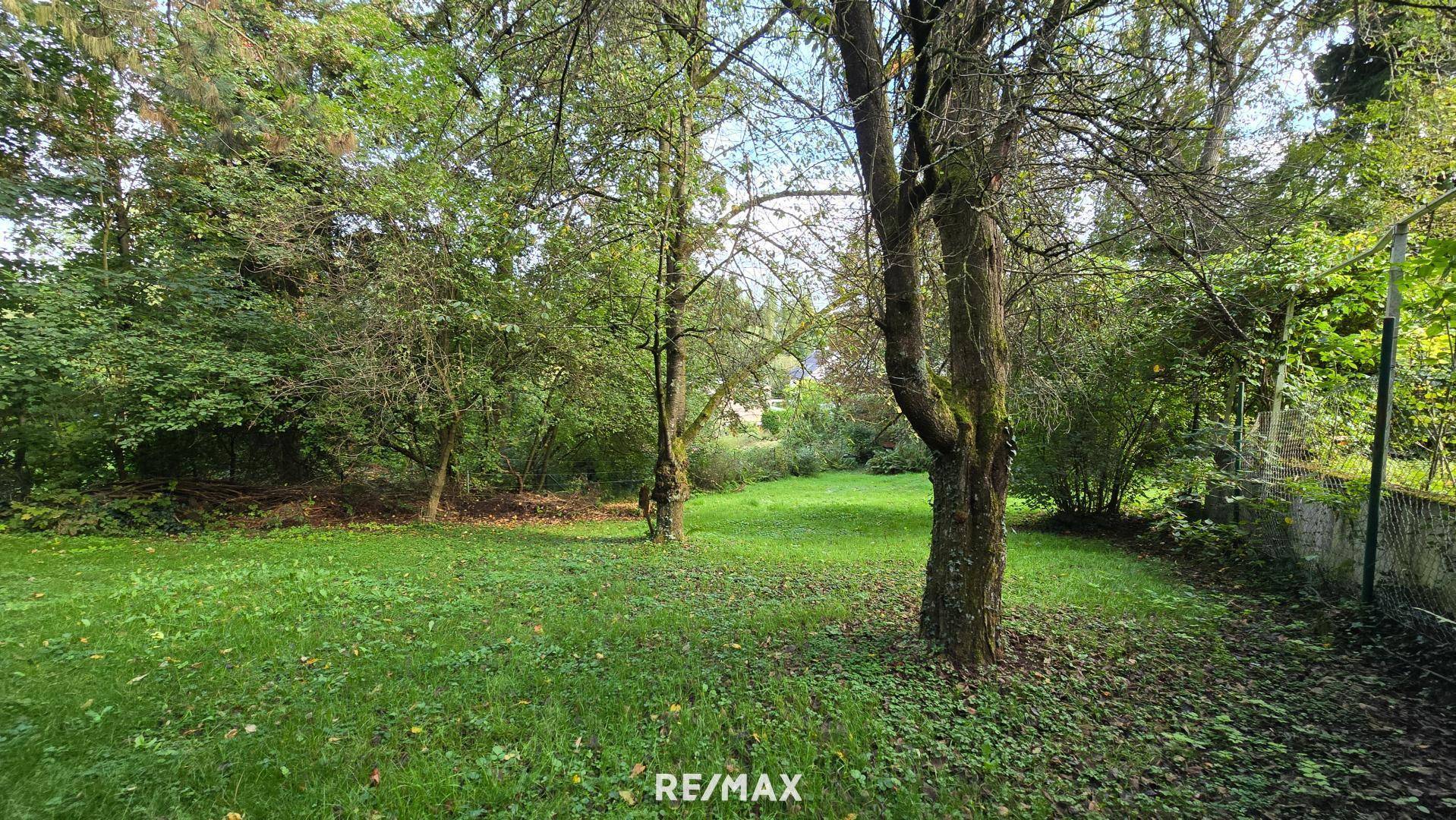 Großer, grüner Garten mit altem Baumbestand und weitläufiger Rasenfläche.
