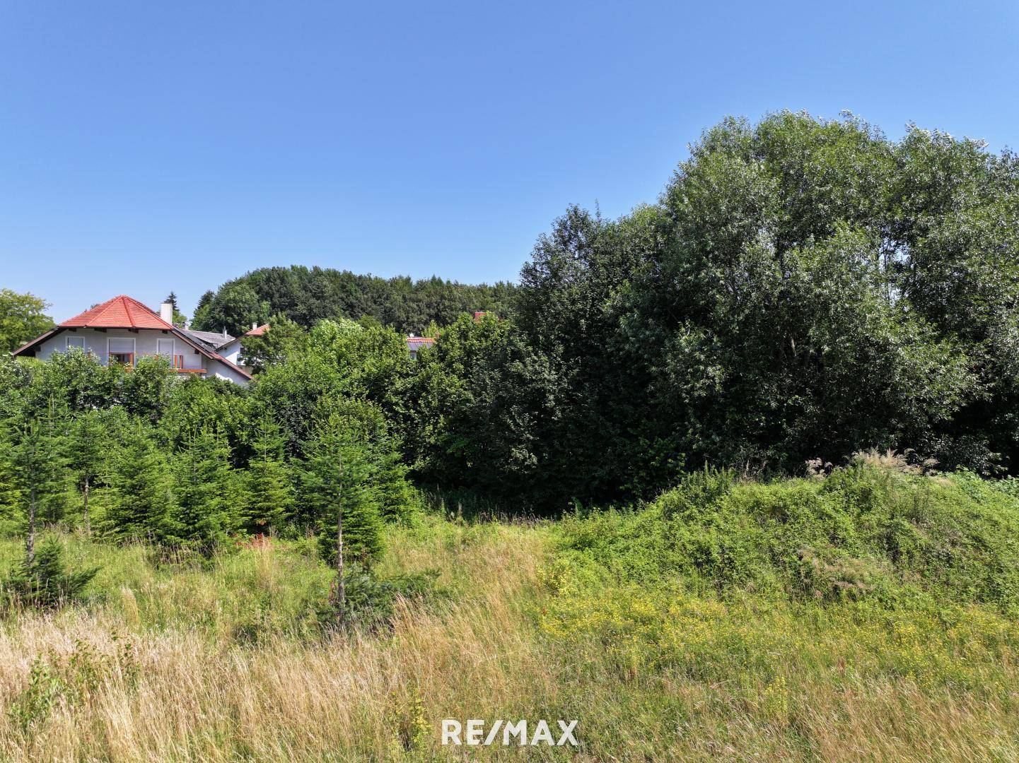 Weitläufige grüne Landschaft mit Bäumen und einem Haus mit orangefarbenem Dach in der Ferne.