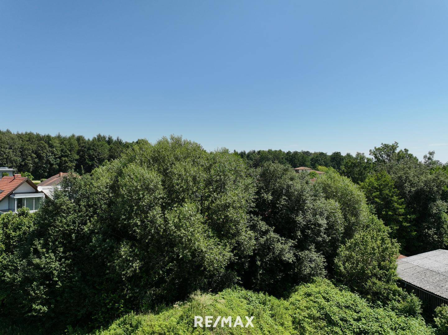 Erhöhte Ansicht einer weiten grünen Fläche mit Bäumen und Häusern in der Ferne unter blauem Himmel.